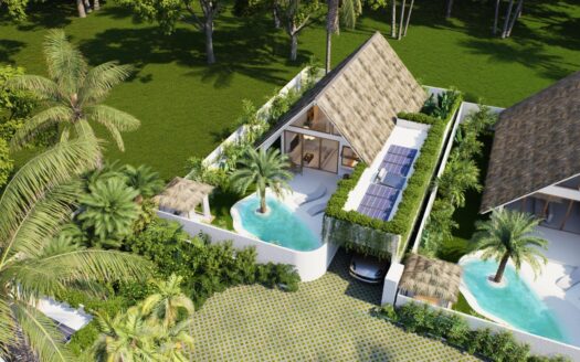 Era Tropical 1BR Unit